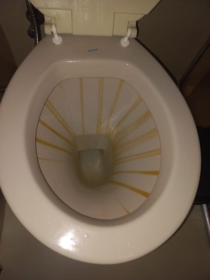 Vaso sanitário com manchas, antes